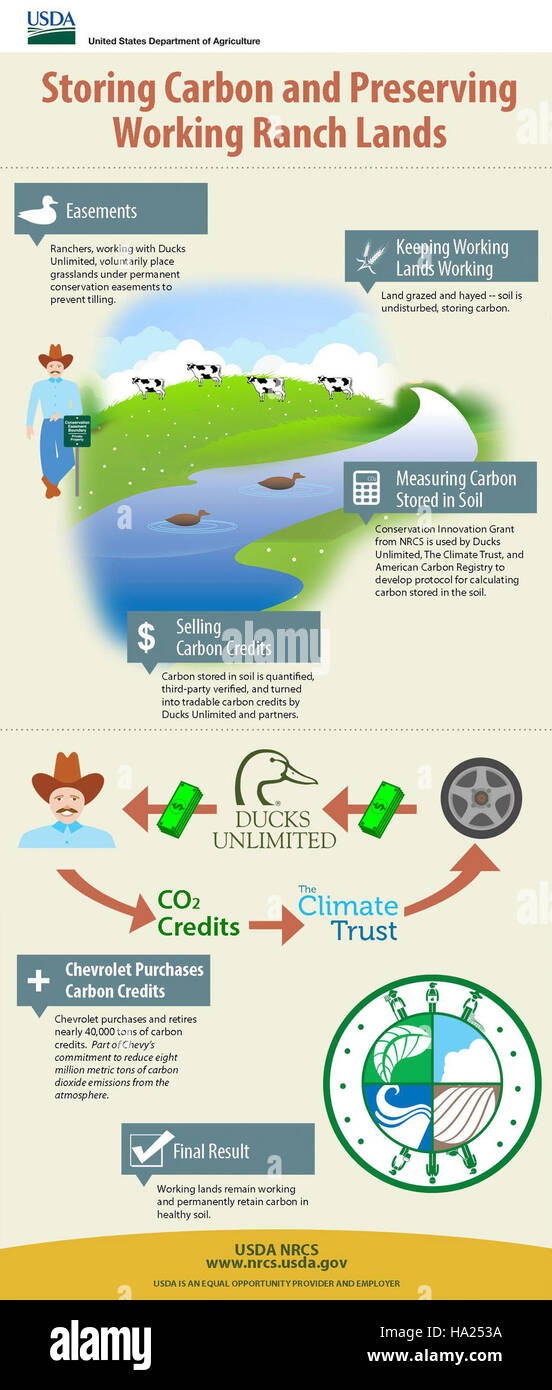 This Infographic Outlines Emergency Management Procedures Used To this-infographic-outlines-emergency-management-procedures-used-to