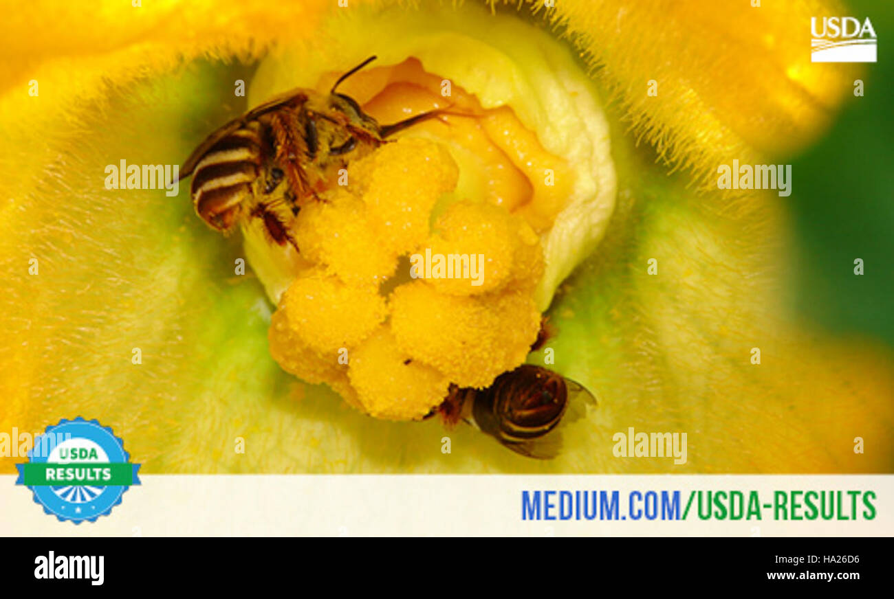 The USDA presents its findings in Chapter 2 of a comprehensive report ...