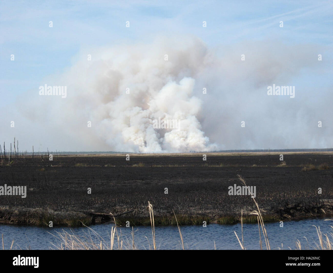 The Whipping Creek wildfire in North Carolina was an intense wildfire ...