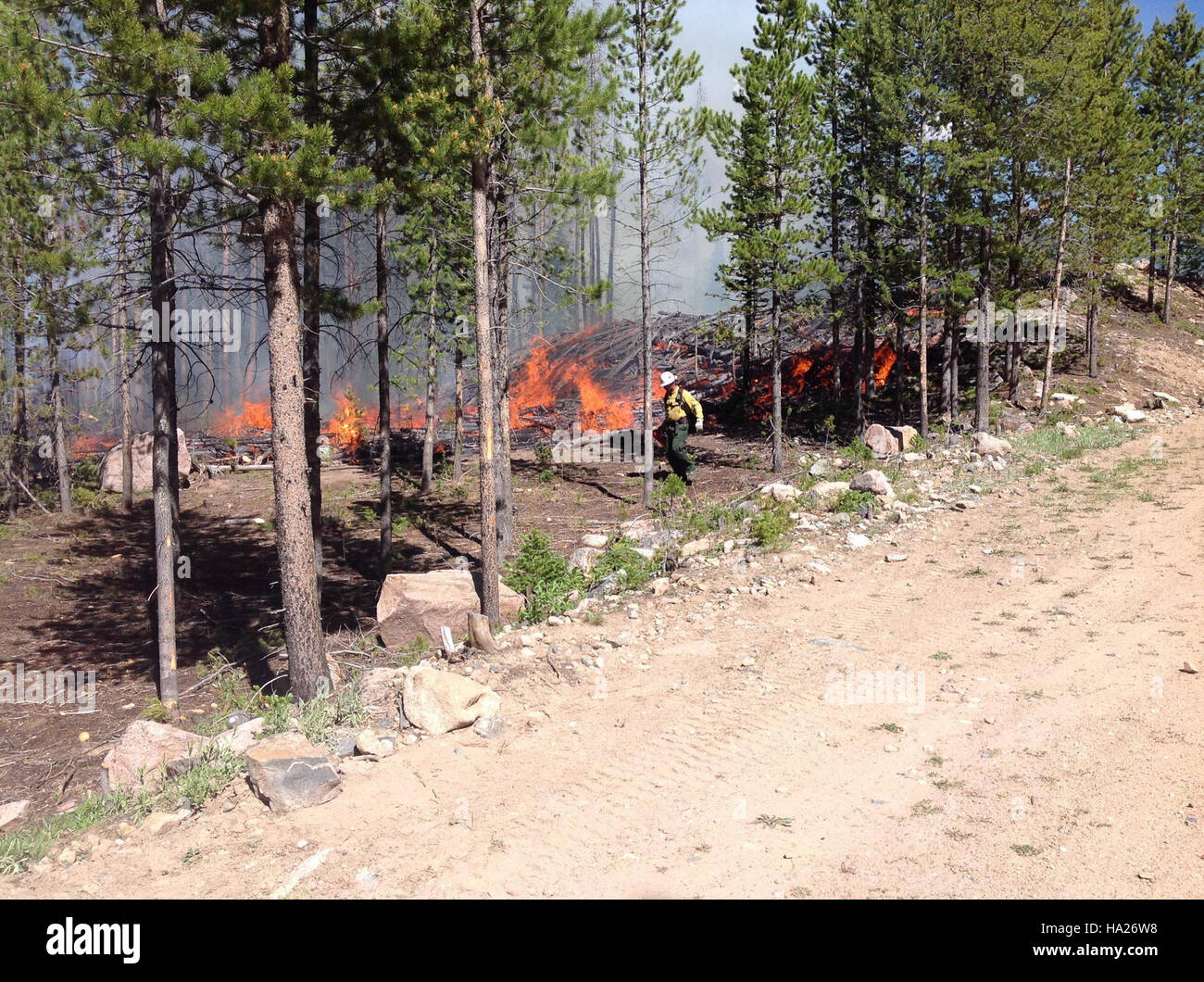 The Beaver Creek Fire, depicted in this image, was a