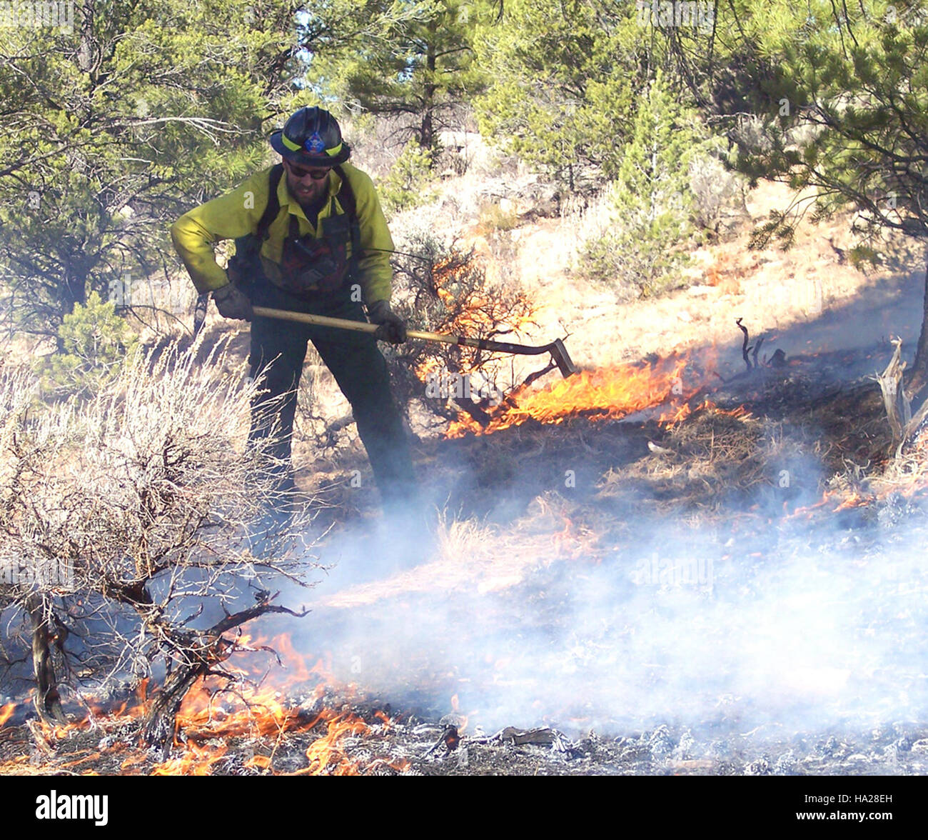 Forest Fire Inspectors and Prevention Specialists