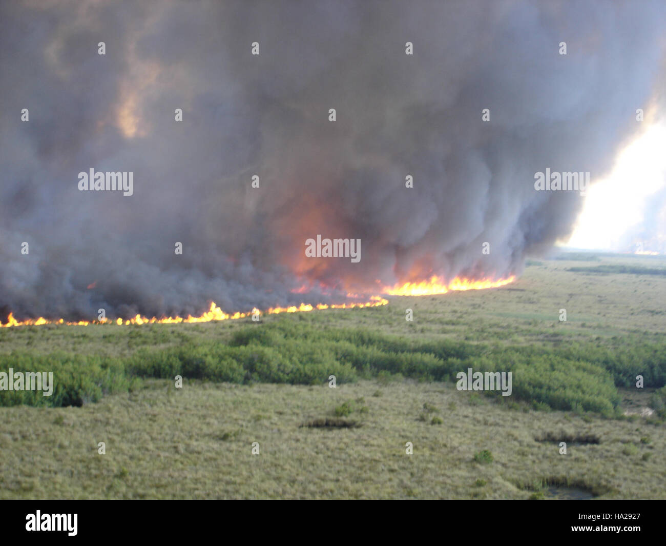 This image captures a controlled fire in the Everglades National Park ...