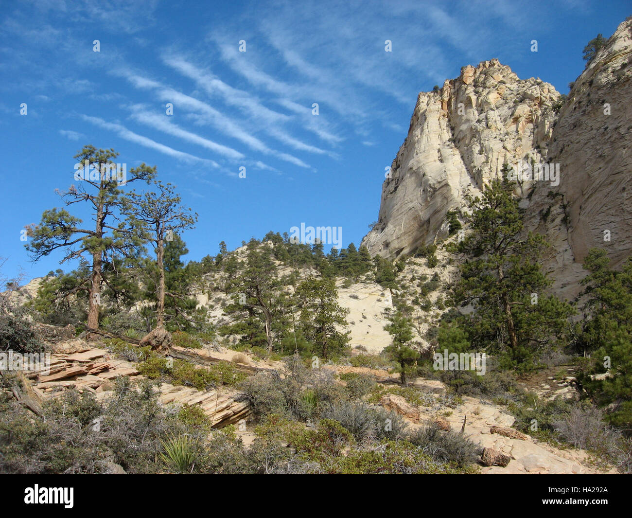 zionnps 5205534294 East Zion Backcountry Stock Photo Alamy