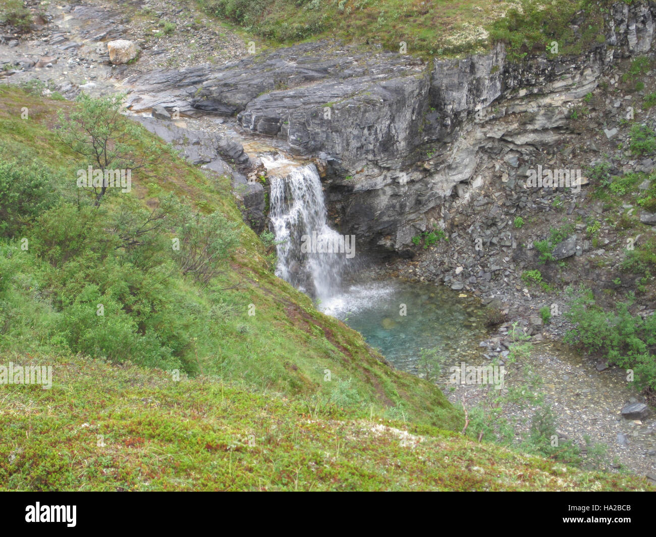 The Bering Land Bridge, once a land connection between Asia and North ...