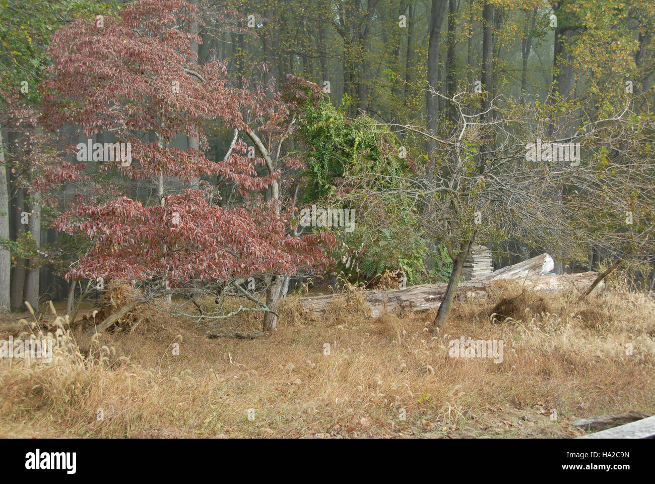 Fog envelops landscape valley hi-res stock photography and images - Alamy
