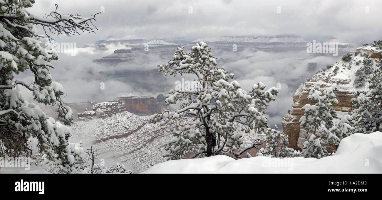 A winter storm blankets the Grand Canyon National Park, highlighting ...