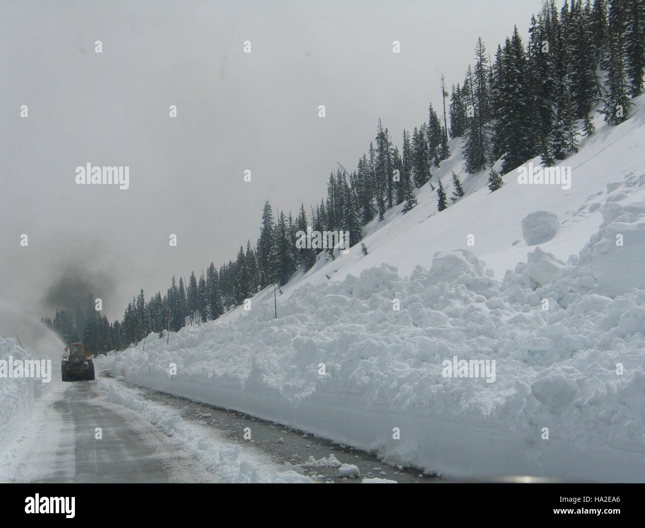 This image depicts the avalanche-prone area near Lewis River, a region ...