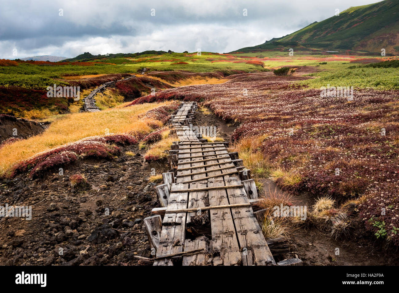 Wooden hiking path disappearing in the distance Stock Photo