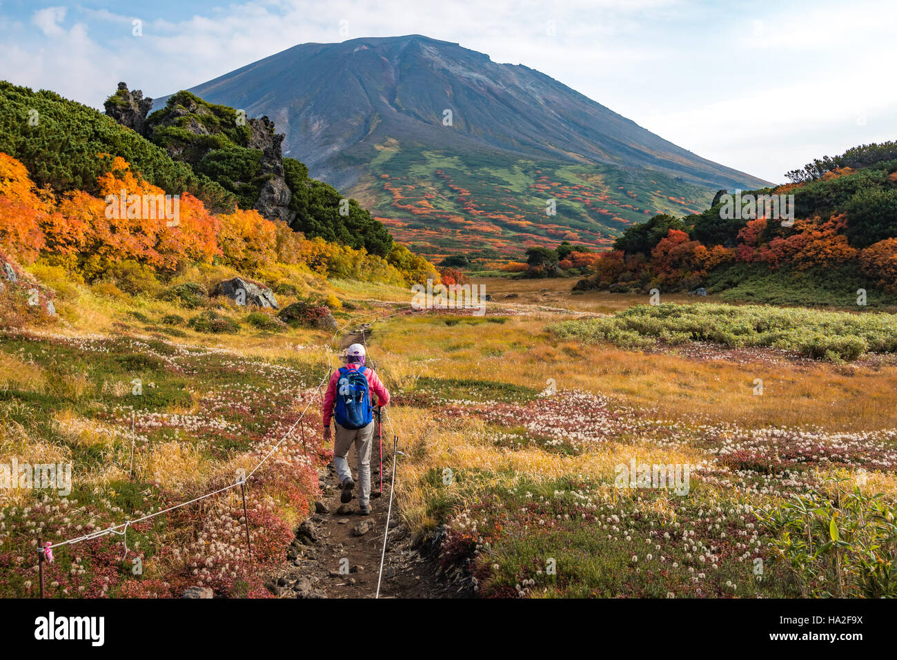 Woman walking among autumn colors on hiking trail toward Asahidake in