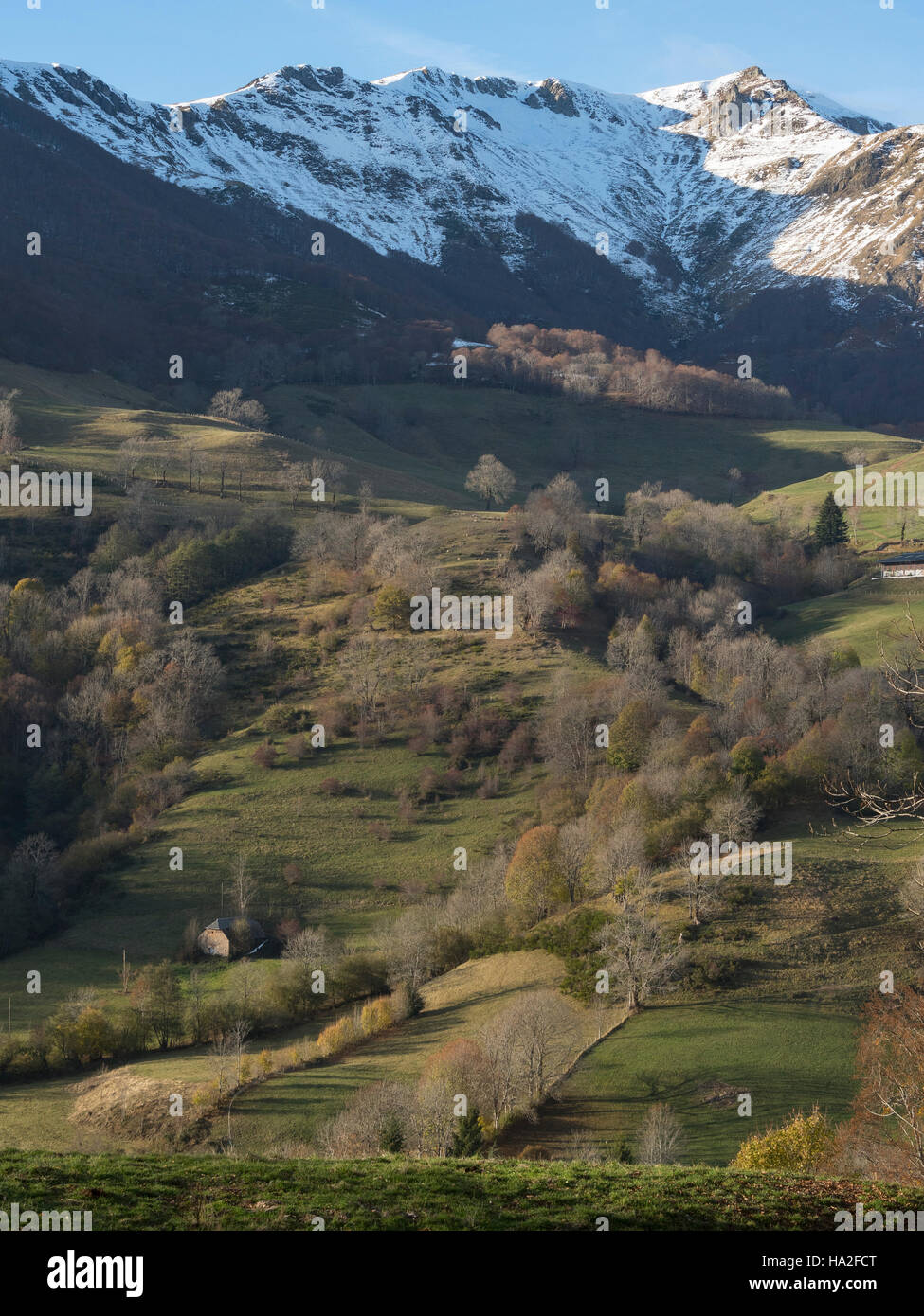 First snow in the valley of Mandailles, Cantal department, Auvergne