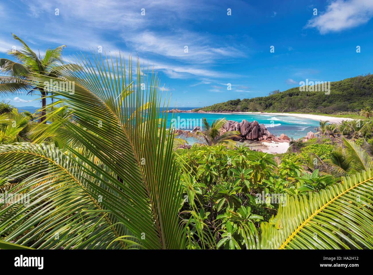 Tropical beach scenery palm hi-res stock photography and images - Alamy