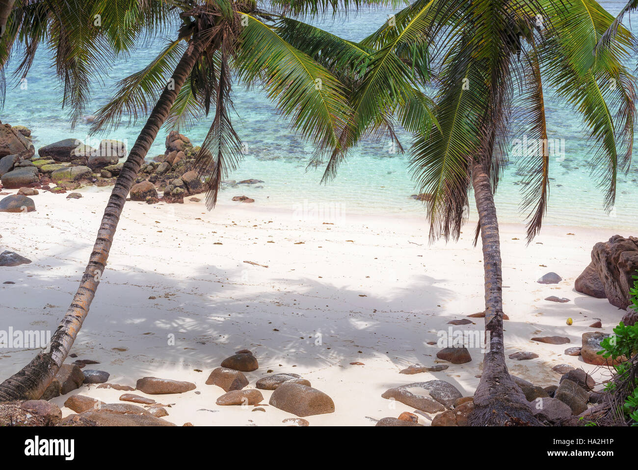 Tropical coast at Seychelles, Mahe Stock Photo