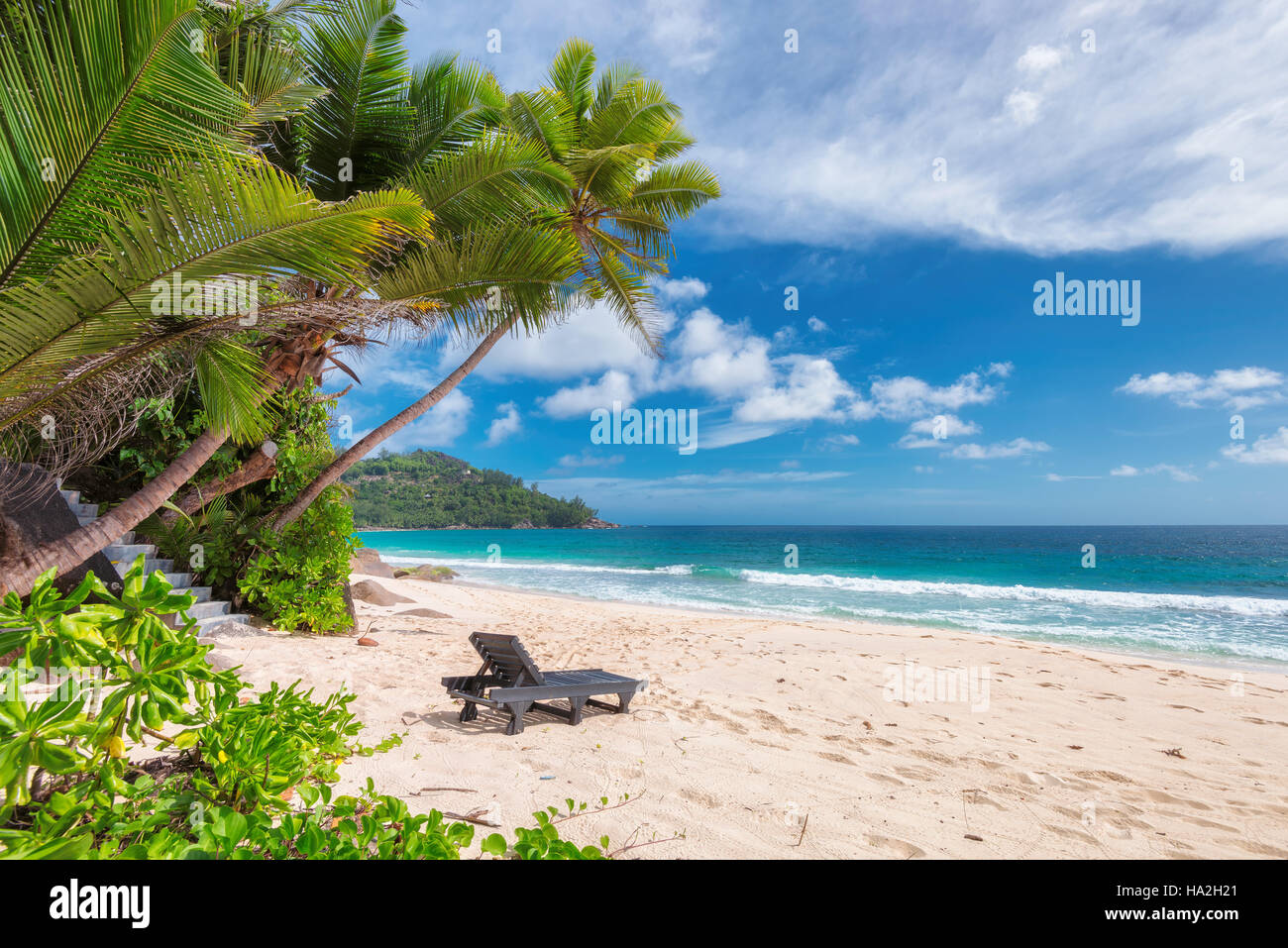 Tropical empty beach with beach chairs Stock Photo