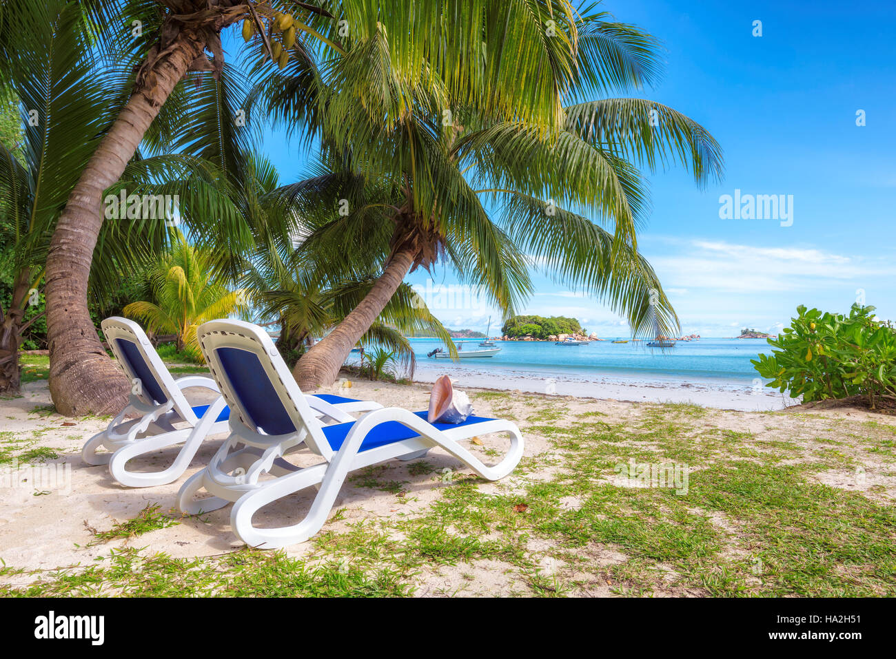 Beach palm tree tropical hi-res stock photography and images - Alamy