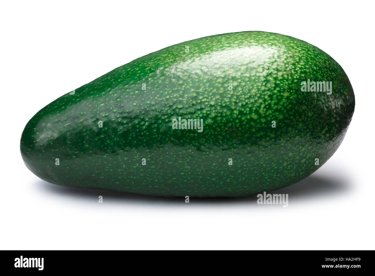 Whole green avocado Fuerte (Persea americana). Clipping paths, shadow separated Stock Photo