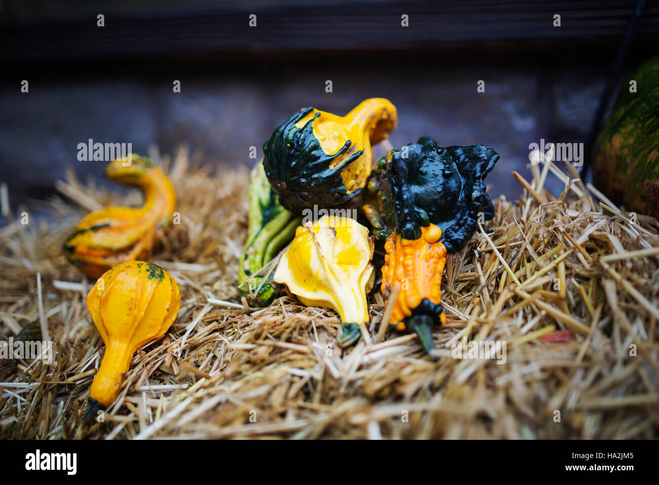 Pumpkin decoration on hay bale Stock Photo - Alamy