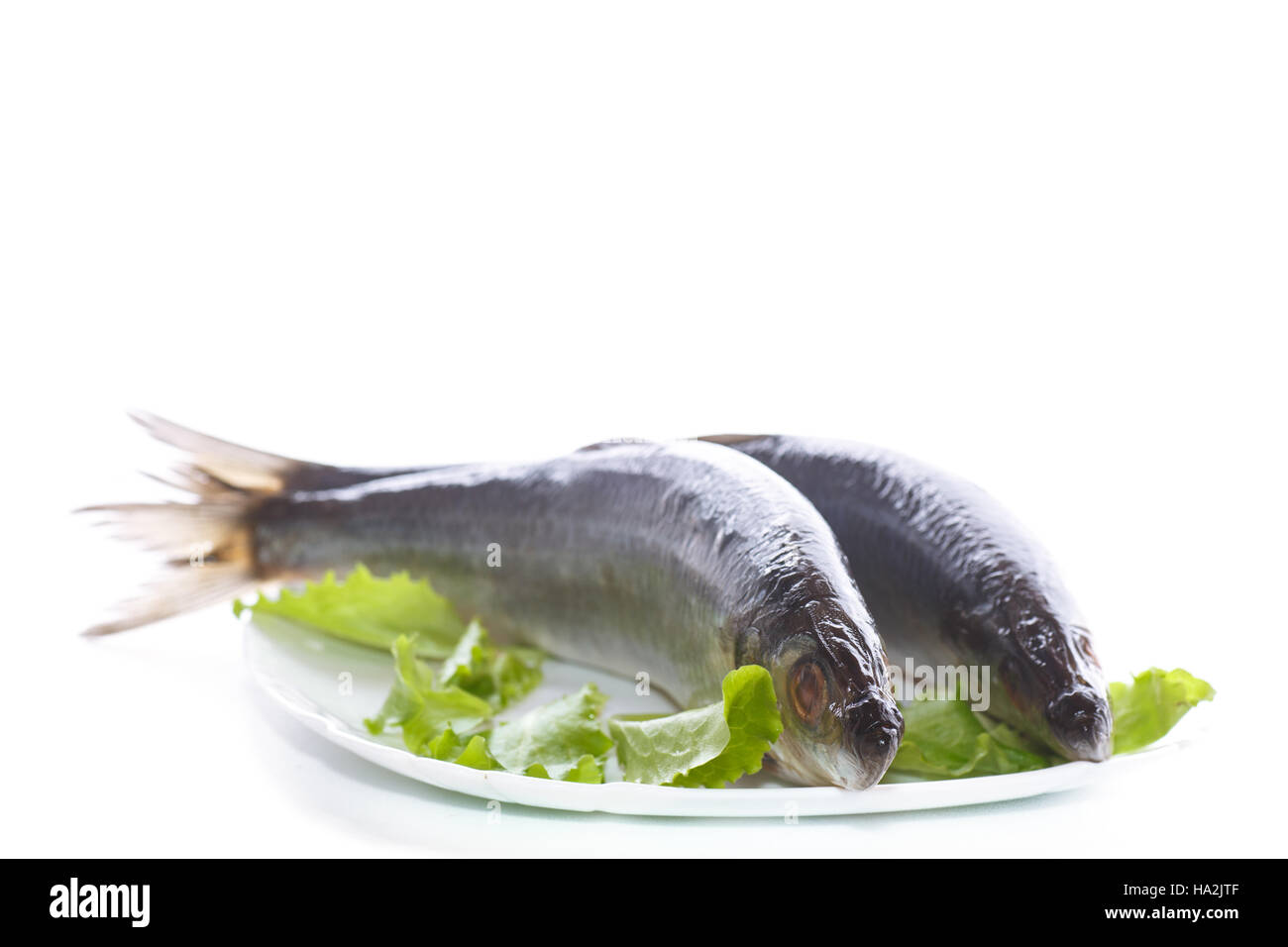 whole salted herring with lettuce Stock Photo Alamy