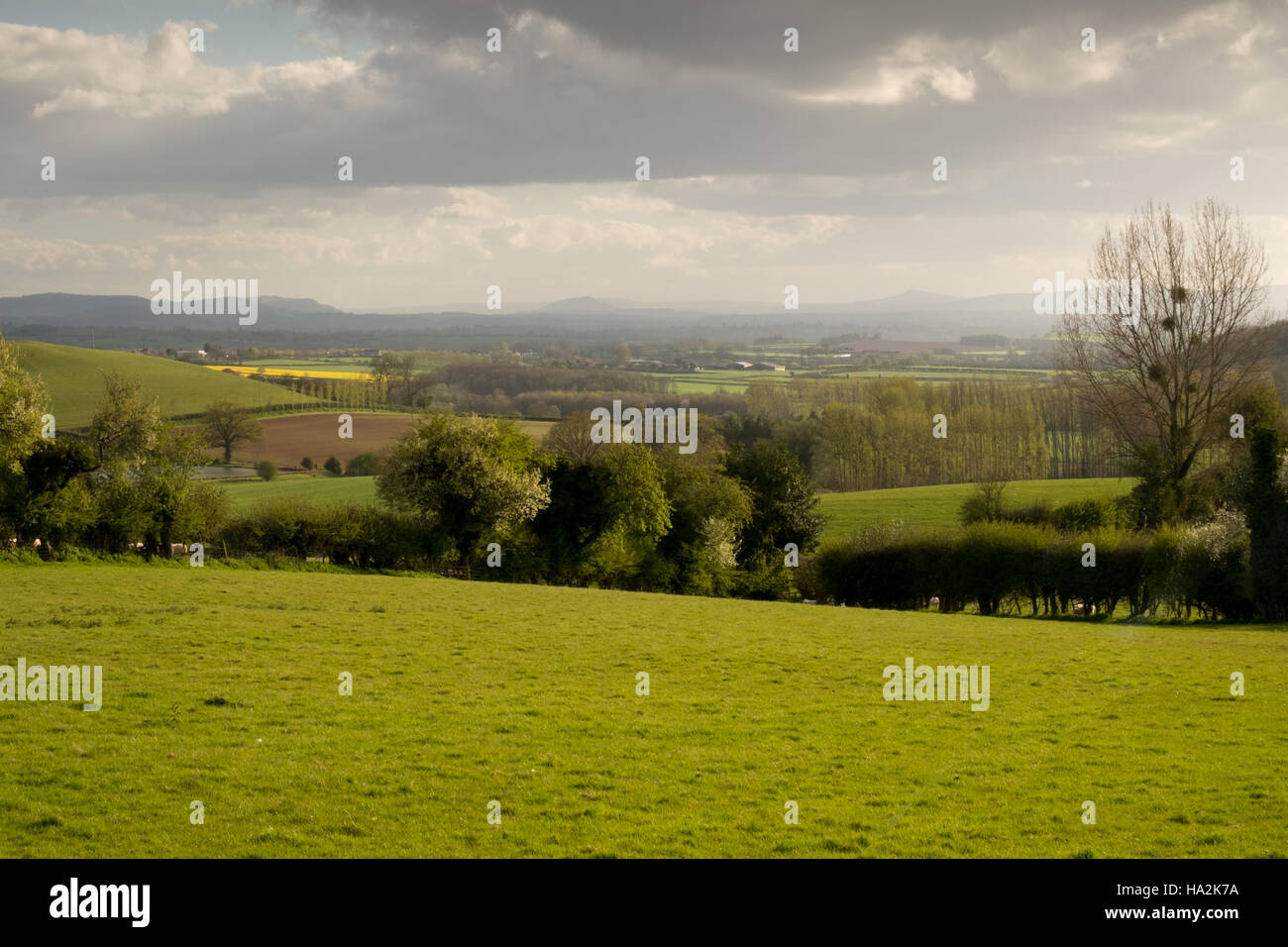 Looking over a sunlit meadow and blossoming hedgerow to rolling fields, hills and the Brecon Beacons in the far distance. 5. Stock Photo