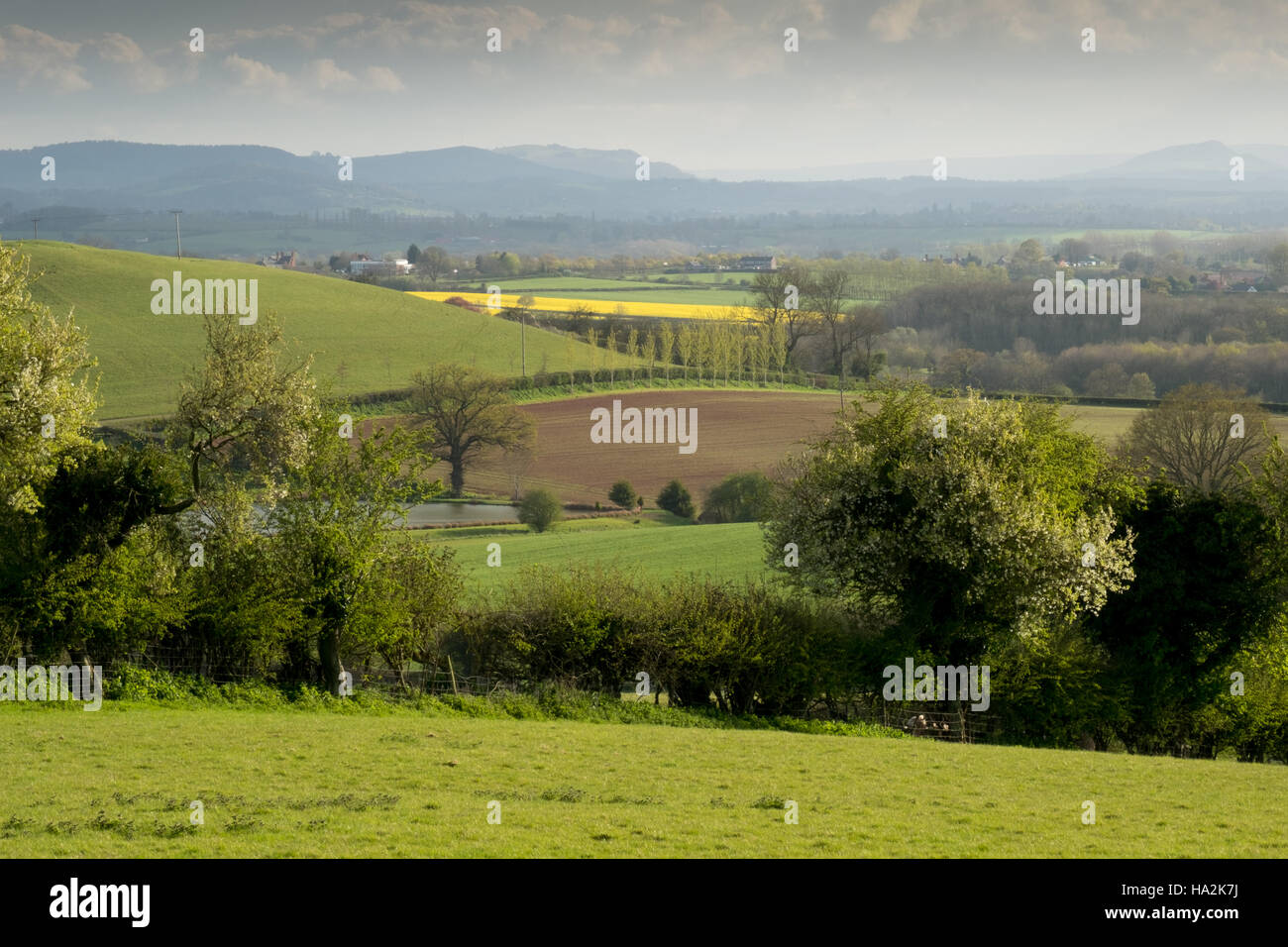 Looking over a sunlit meadow and blossoming hedgerow to rolling fields, hills and the Brecon Beacons in the far distance. 4. Stock Photo
