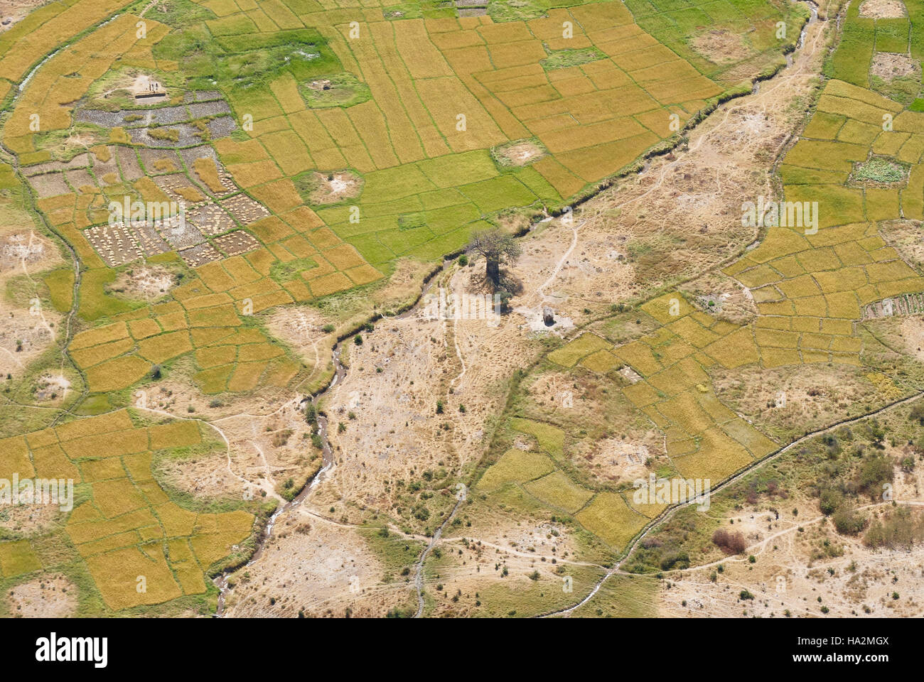 Rice farming, Tanzania (aerial) Stock Photo