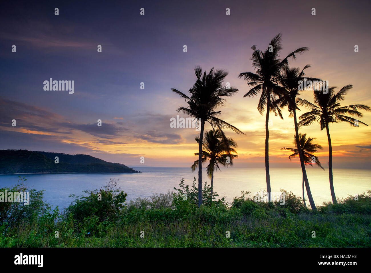 Palm tree sunset ocean hi-res stock photography and images - Alamy