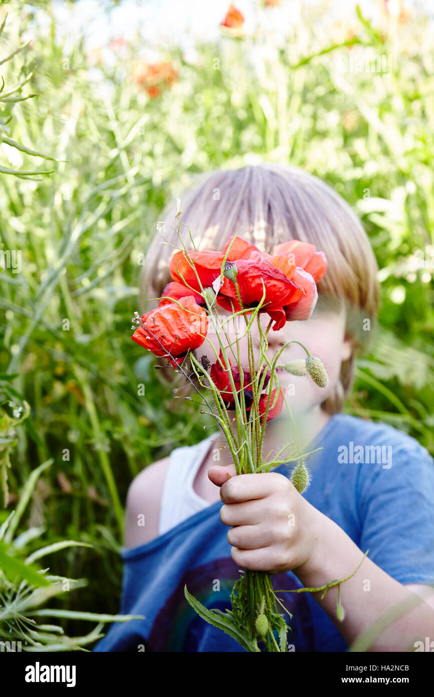 Boy holding a bouquet of poppy flowers in front of his face Stock Photo ...