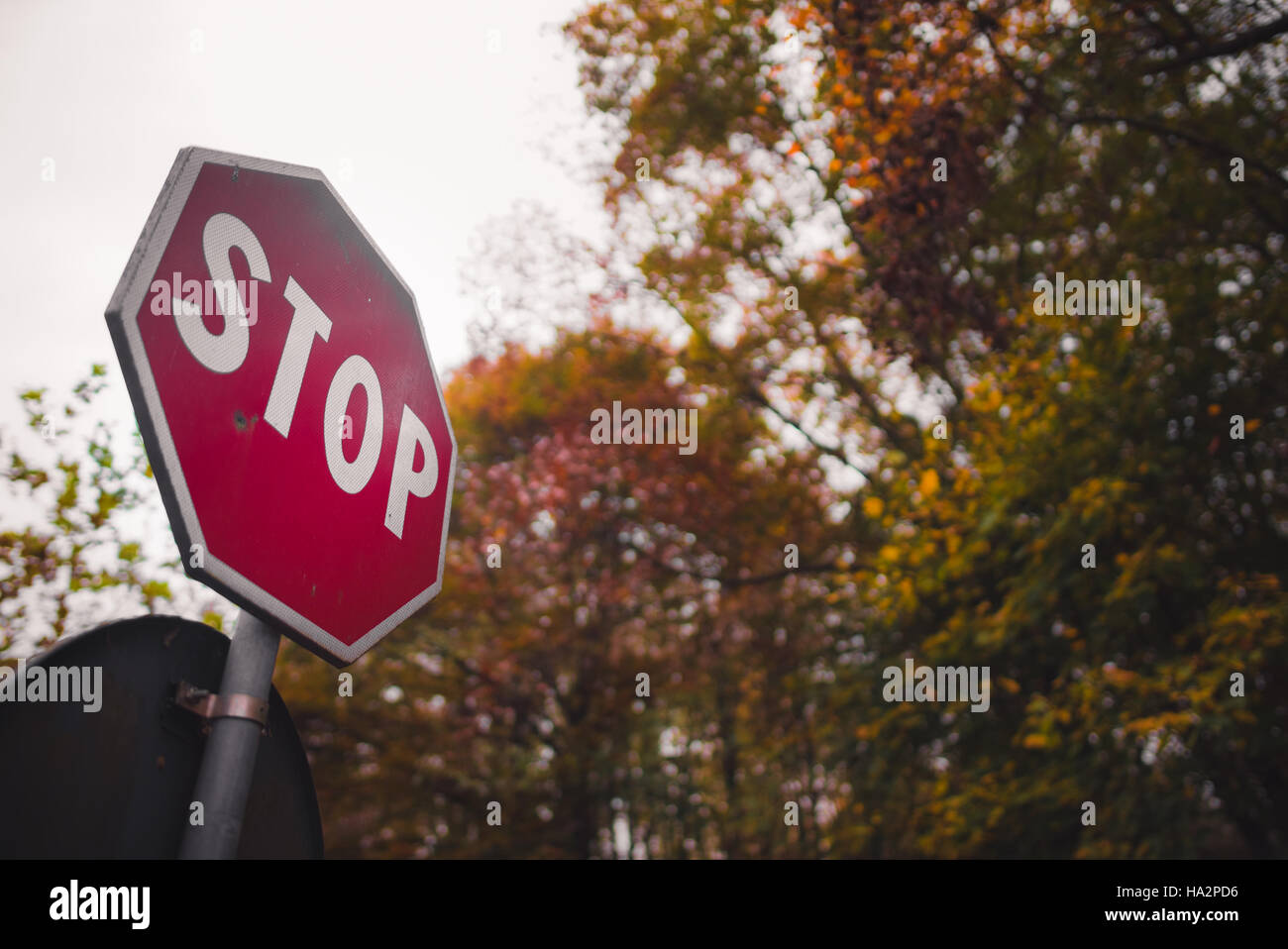 Stop sign in a tree hi-res stock photography and images - Alamy