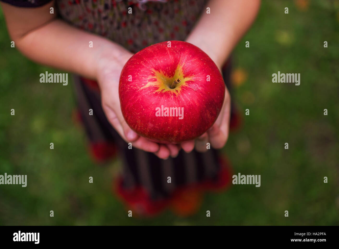 Girl holding an apple in her hands Stock Photo