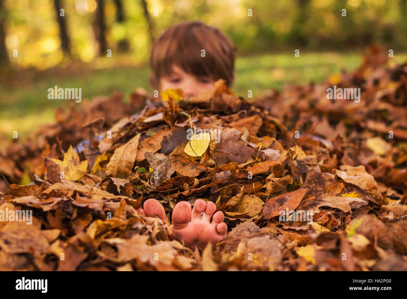 Boy buried in a pile of autumn leaves Stock Photo