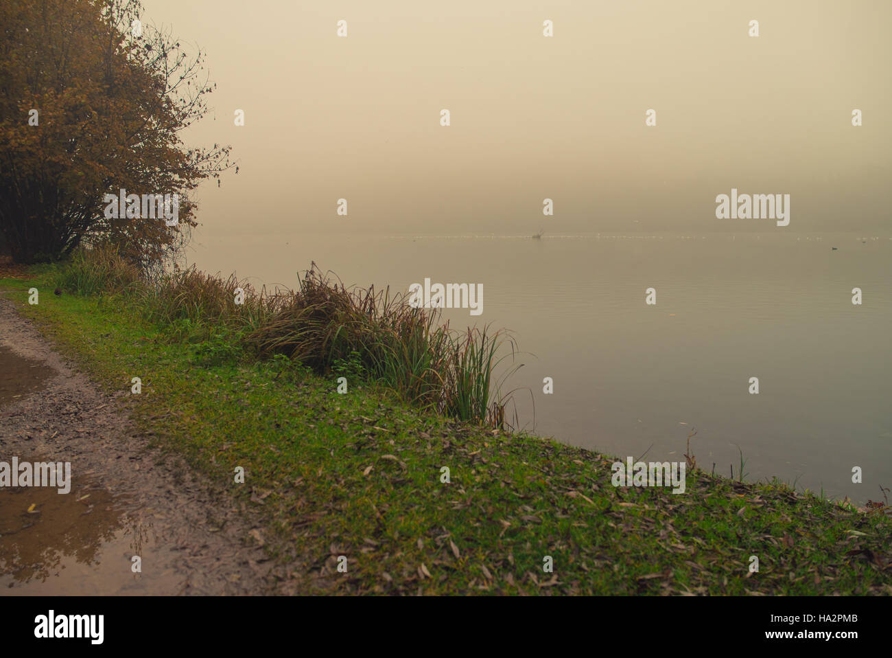 On the bank of a river in the fog Stock Photo - Alamy