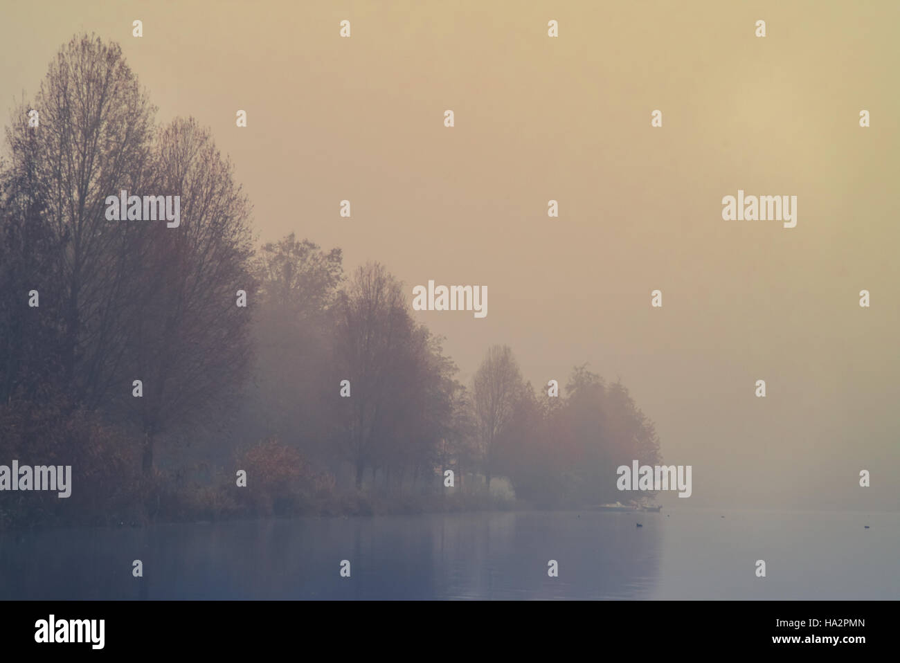 On the bank of a river in the fog in autumn Stock Photo - Alamy