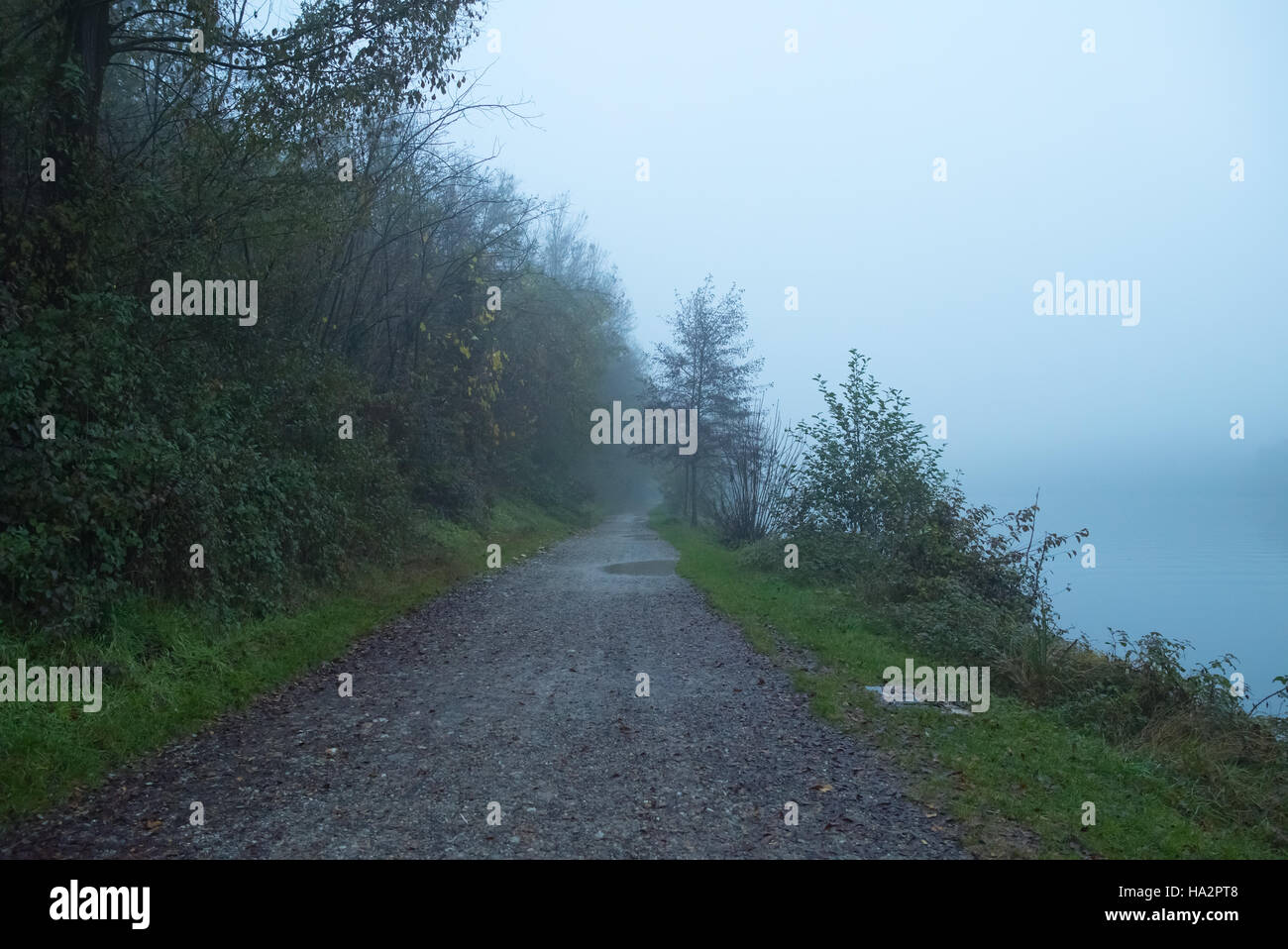 Trail near the bank of a river in the fog Stock Photo - Alamy