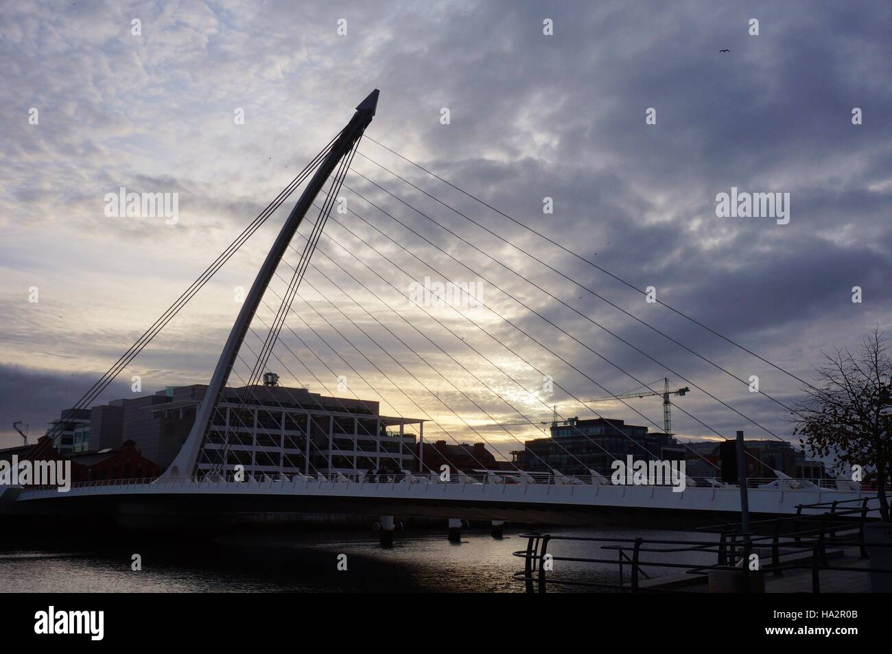 Opened in 2009, the harp shaped Samuel Beckett Bridge over the River