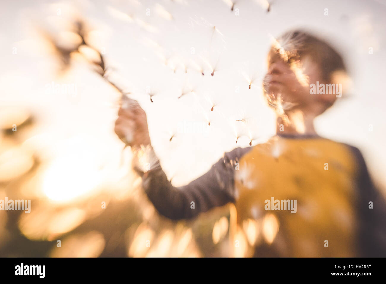 Blurred image of boy releasing seeds in the wind Stock Photo