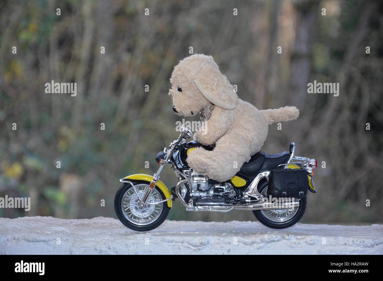 Dog soft toy sits on motorcycle outside Stock Photo