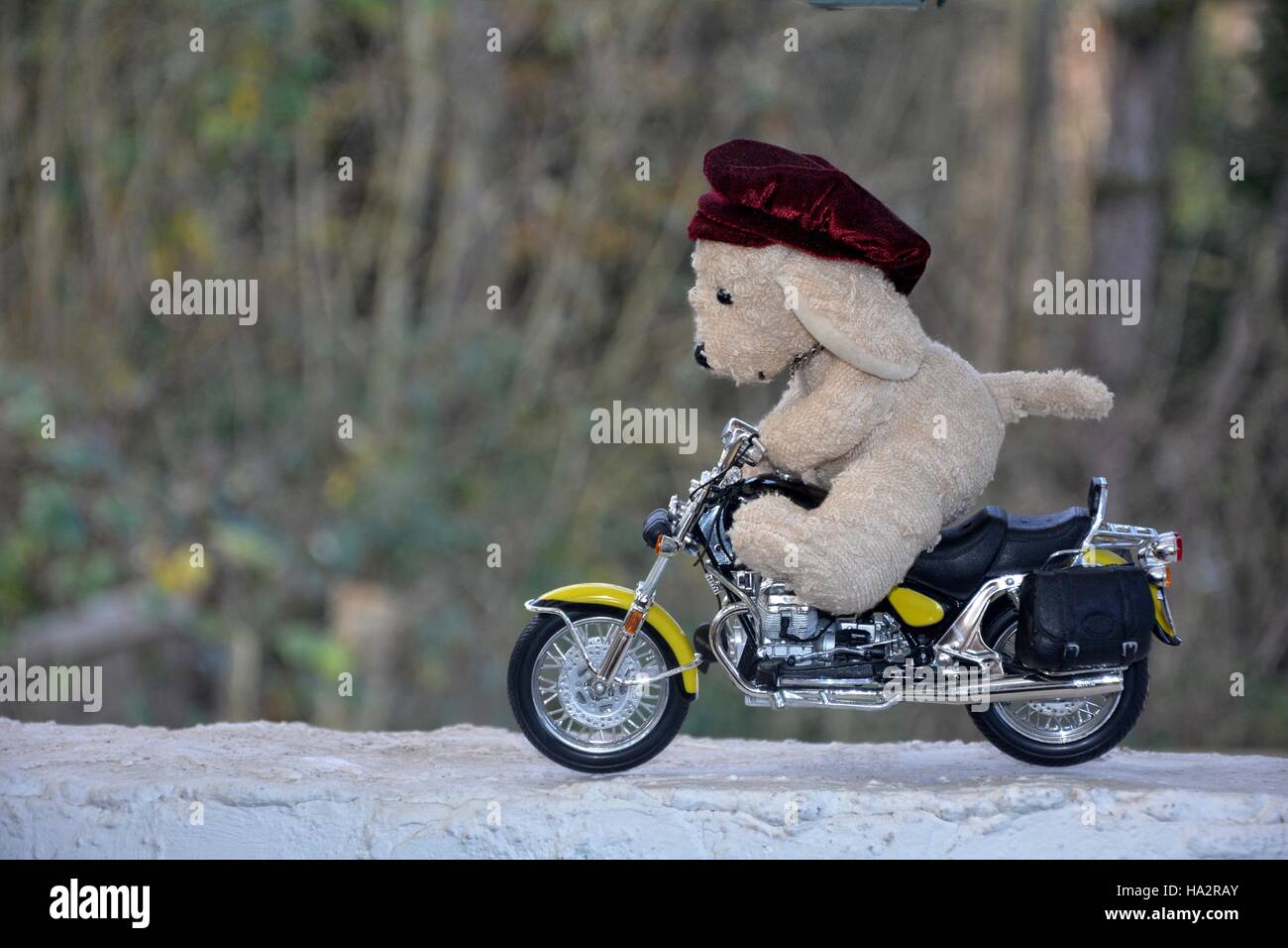 Dog soft toy with cap sits on motorcycle outside Stock Photo