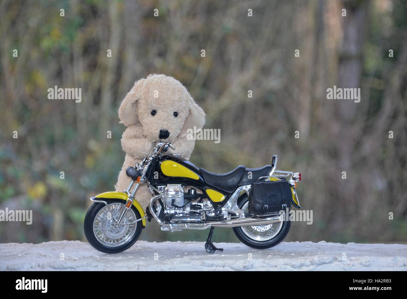 Dog soft toy stands behind a motorcycle outside Stock Photo