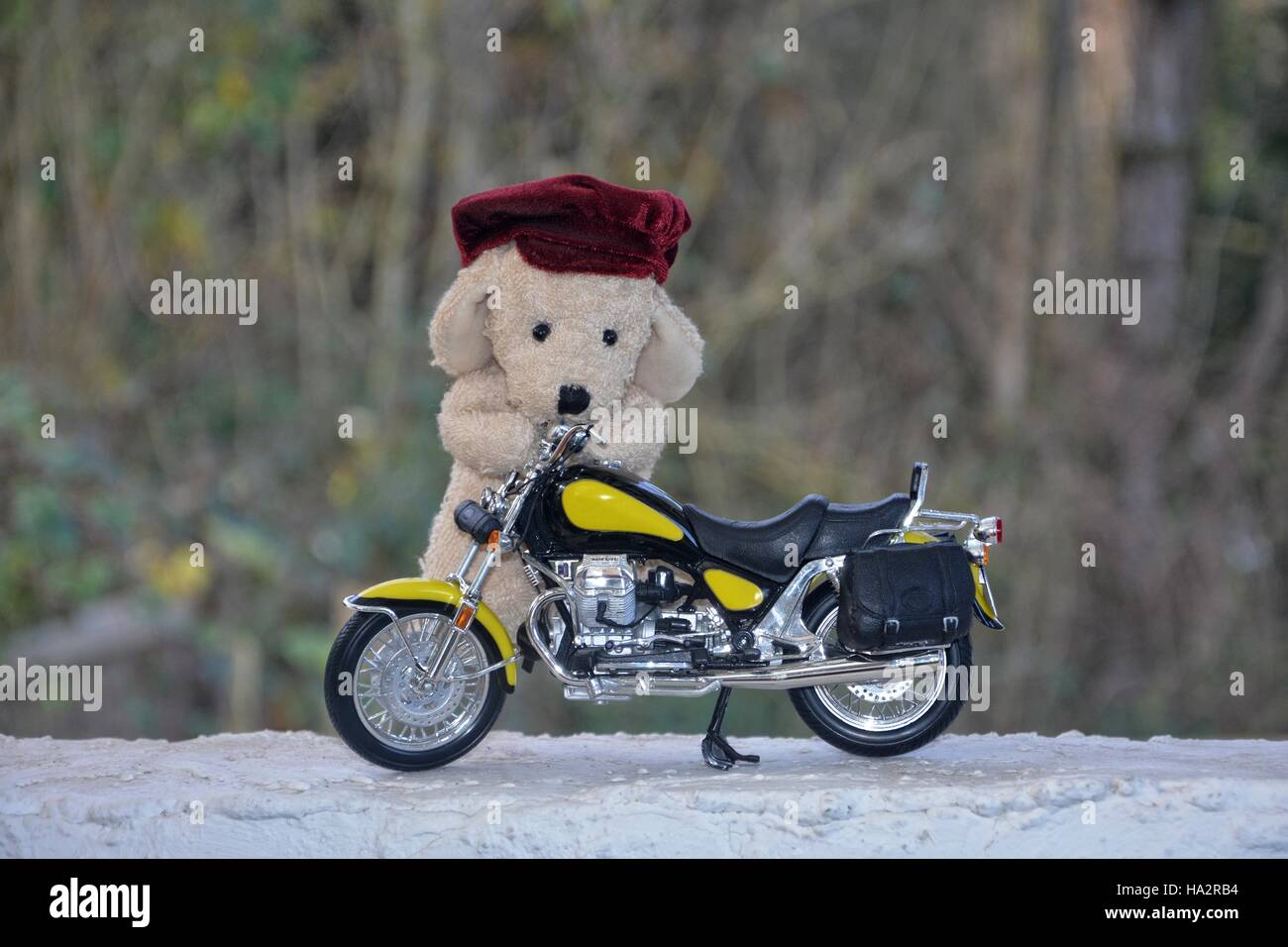 Dog soft toy with cap stands behind a motorcycle outside Stock Photo