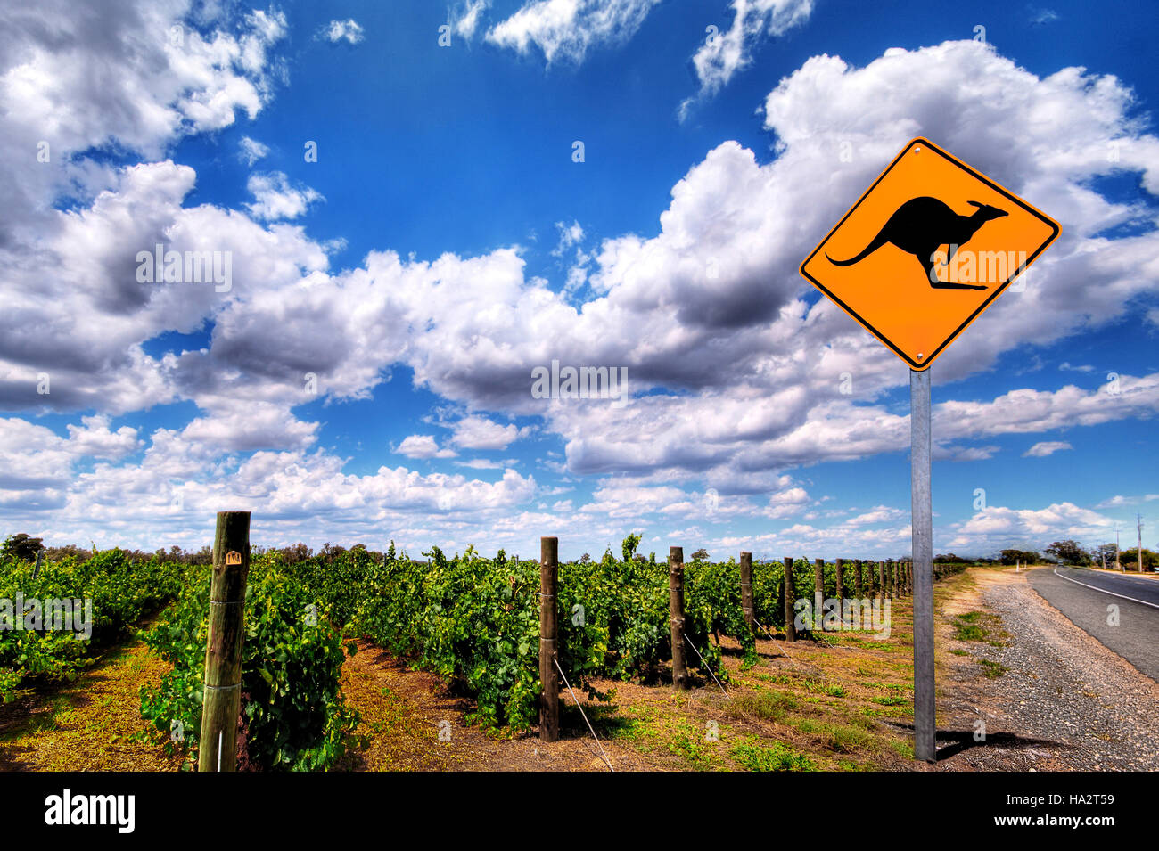 Kangaroo Warning Sign, vineyard and road, South Australia, Australia Stock Photo
