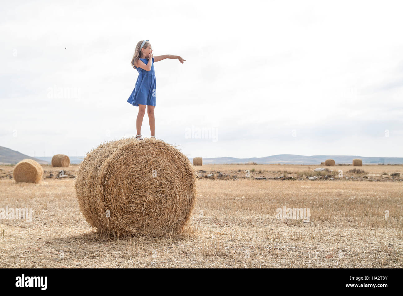 Girl standing on a hay bale in a field Stock Photo