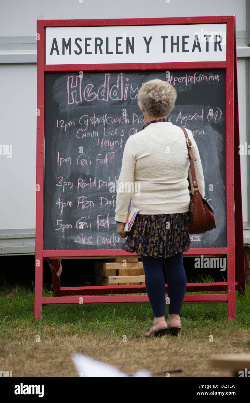 A woman looking at the timetable of theatre events at The National Eisteddfod of Wales , August 2016, held that year in the town of Abergavenny, South Wales. The Eisteddfod is a peripatetic annual welsh language cultural festival, held on the first full week of August, visiting locations in North and South Wales on alternate years Stock Photo