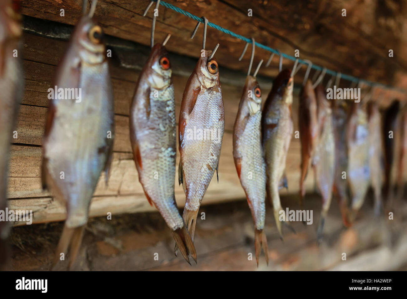fish drying on rope Stock Photo Alamy