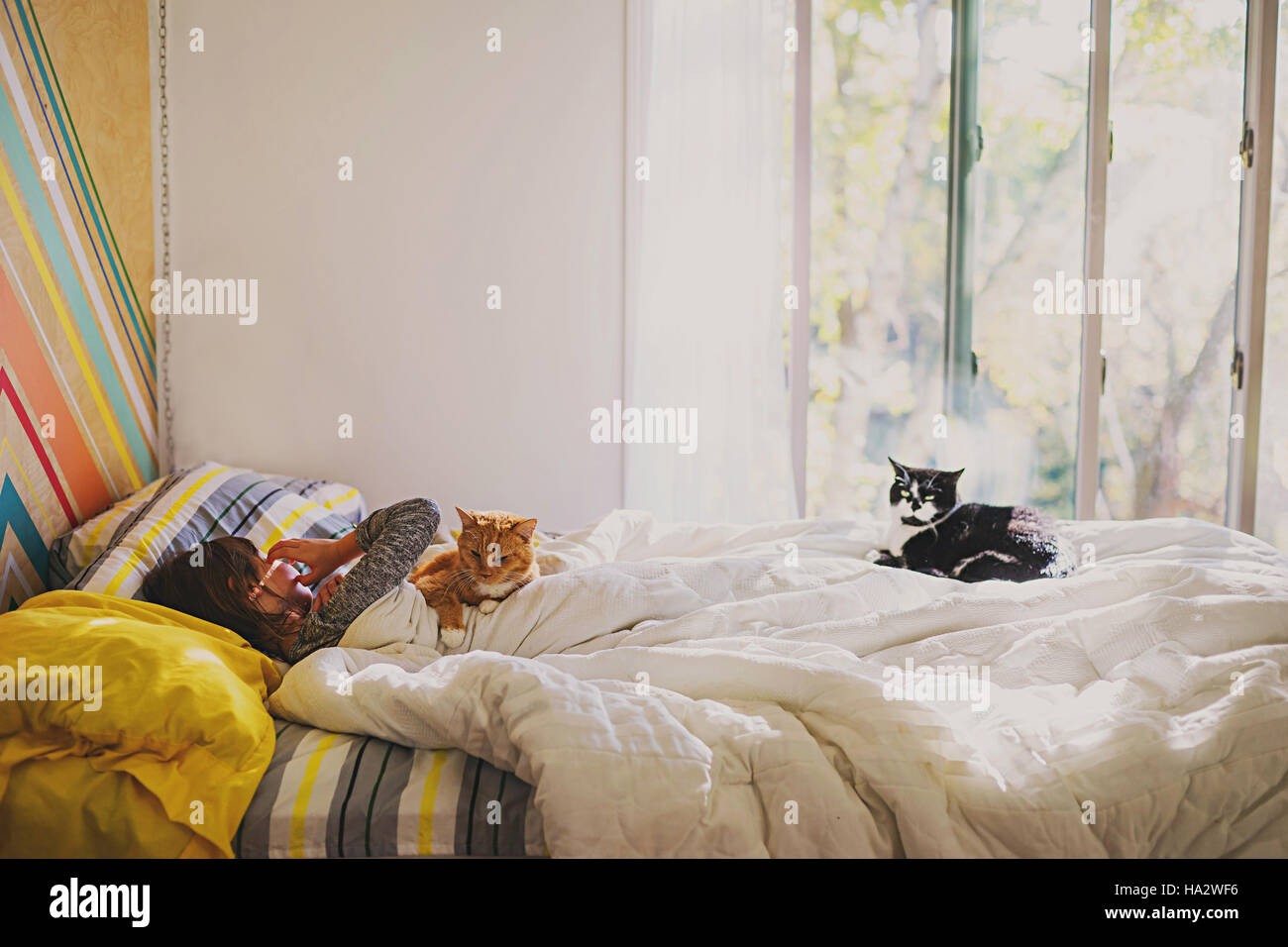 Girl lying in bed with two cats Stock Photo