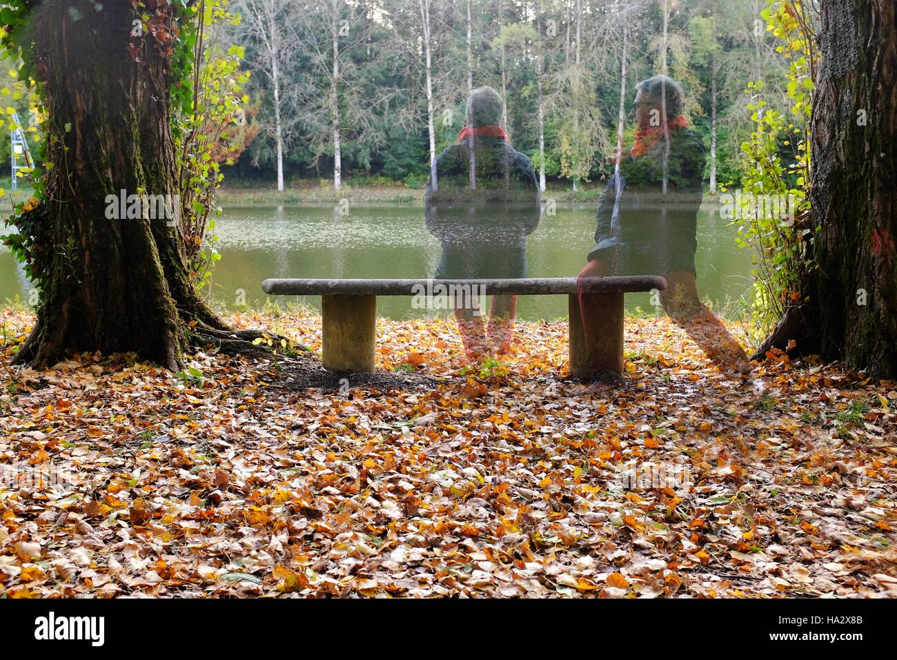 Man sitting bench landscape hi-res stock photography and images - Alamy