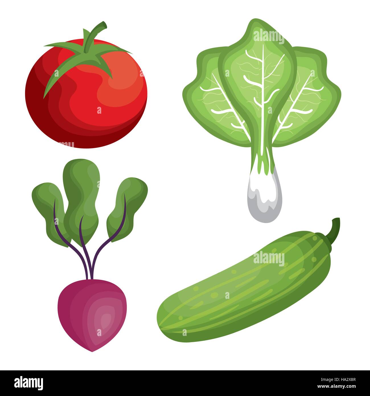 fresh vegetables healthy food vector illustration design Stock Vector ...