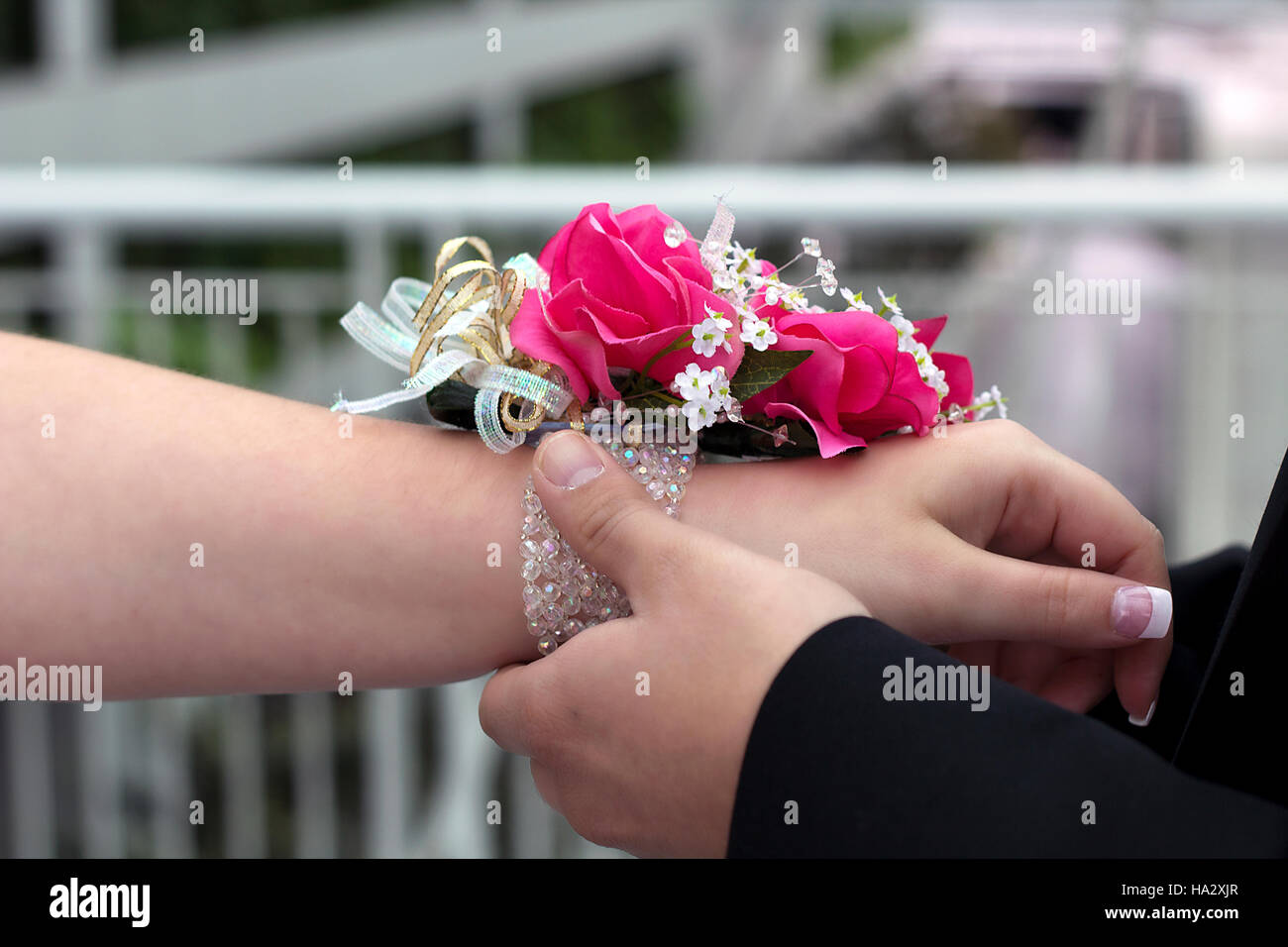 Man putting corsage on woman's wrist Stock Photo