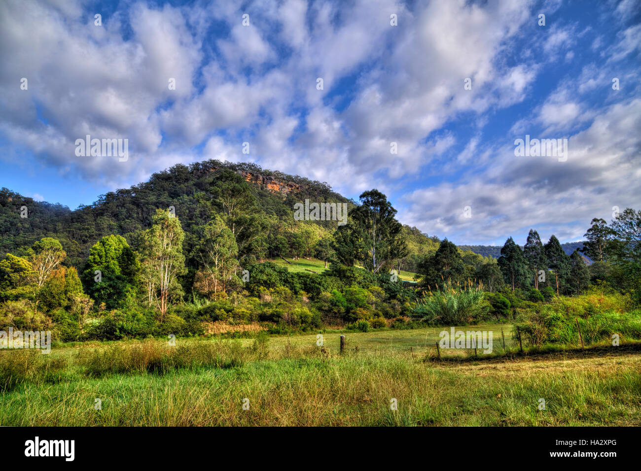 Rural landscape, Australia Stock Photo