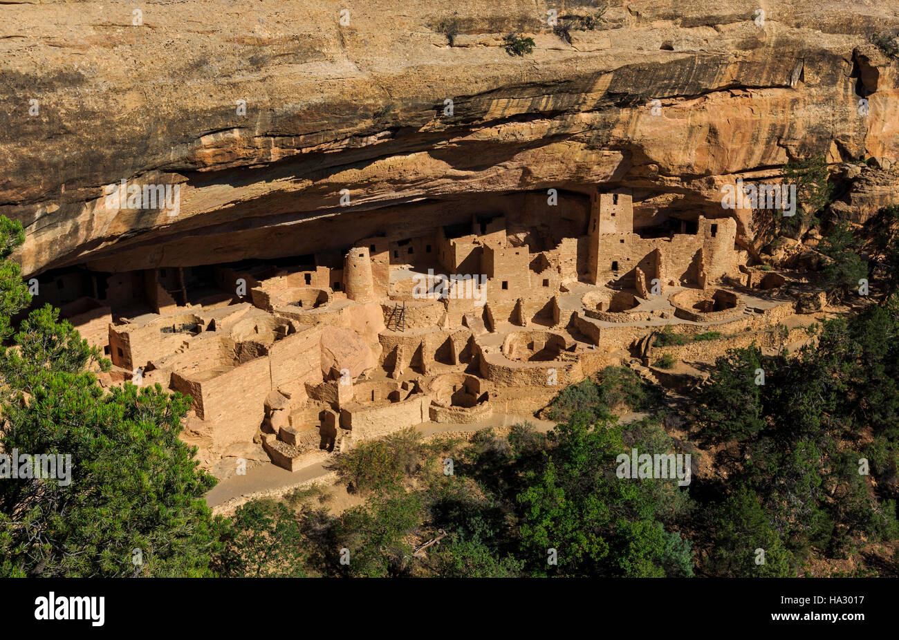 This is a view of the Cliff Palace, the largest cliff dwelling at Mesa Verde National Park, Colorado, USA. Stock Photo
