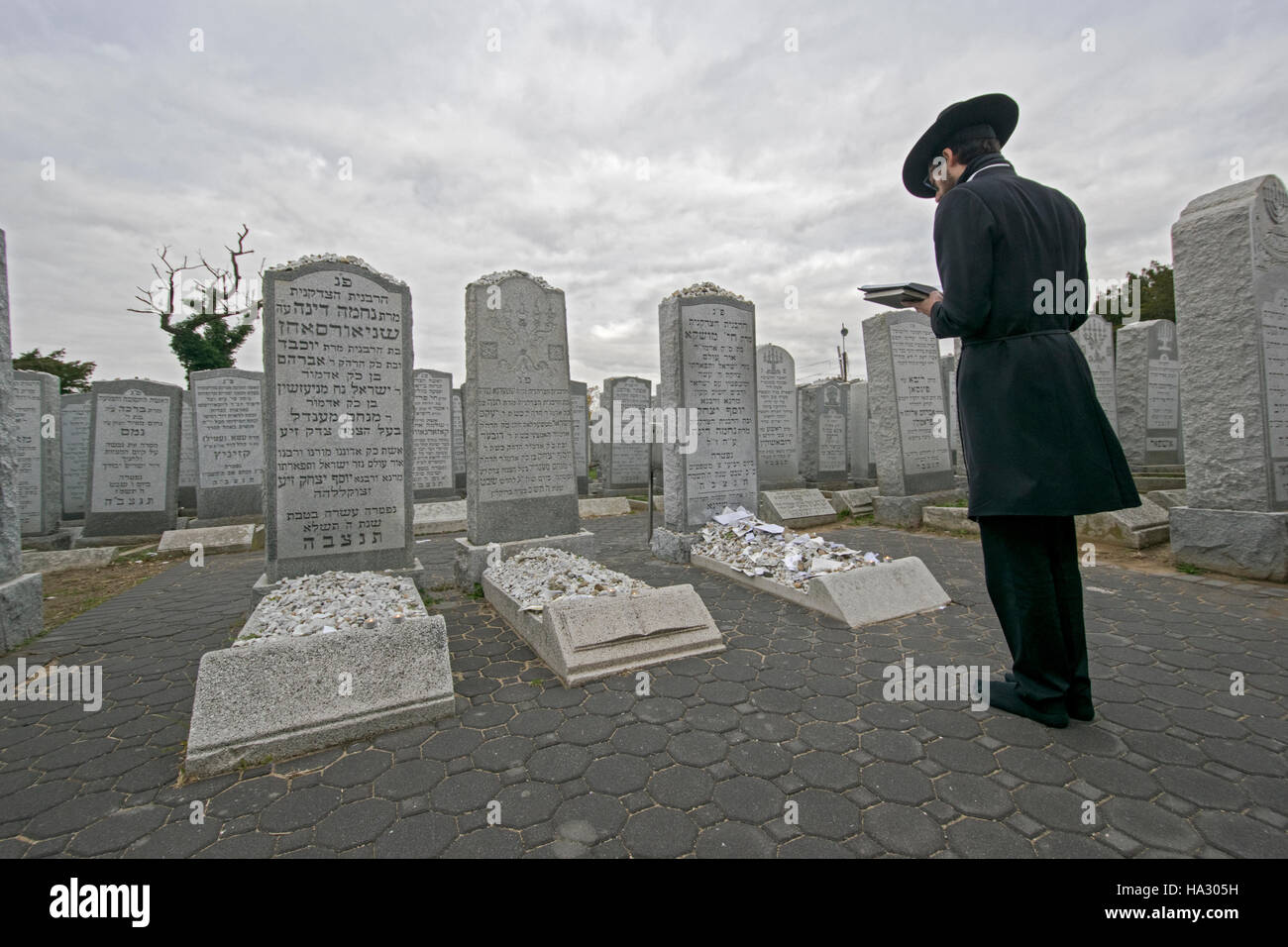 An orthodox Jewish man saying prayers by the headstones of three righteous passed Lubavitch women in Cambria Heights, Queens, NY Stock Photo