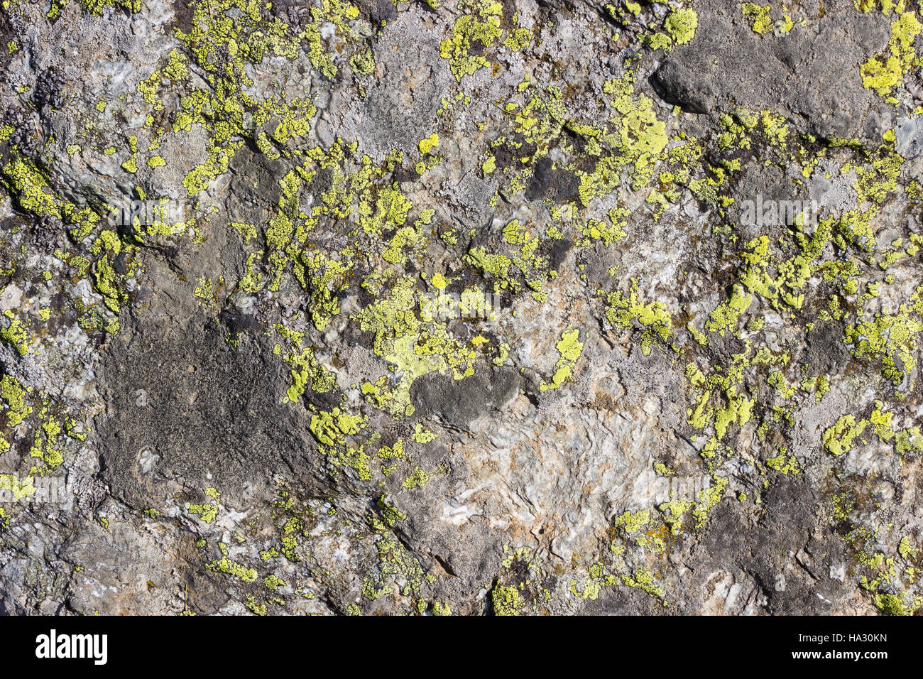 Natural background texture, rock with lichen Stock Photo